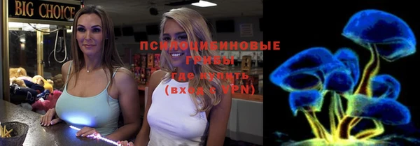 ПСИЛОЦИБИНОВЫЕ ГРИБЫ Володарск