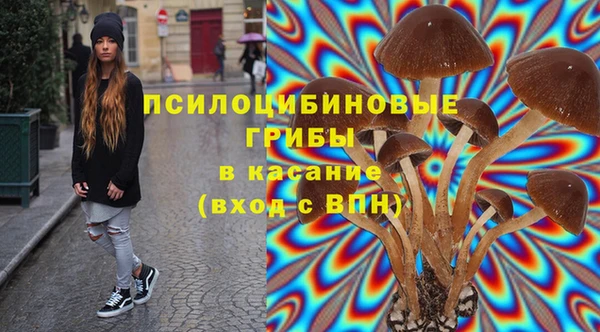 кокаин перу Богданович