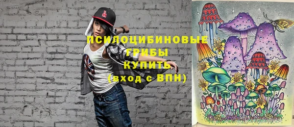 ПСИЛОЦИБИНОВЫЕ ГРИБЫ Богородск