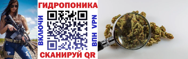 Каннабис ГИДРОПОН  Енисейск 